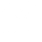 THE COW STORE