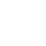 THE COW STORE